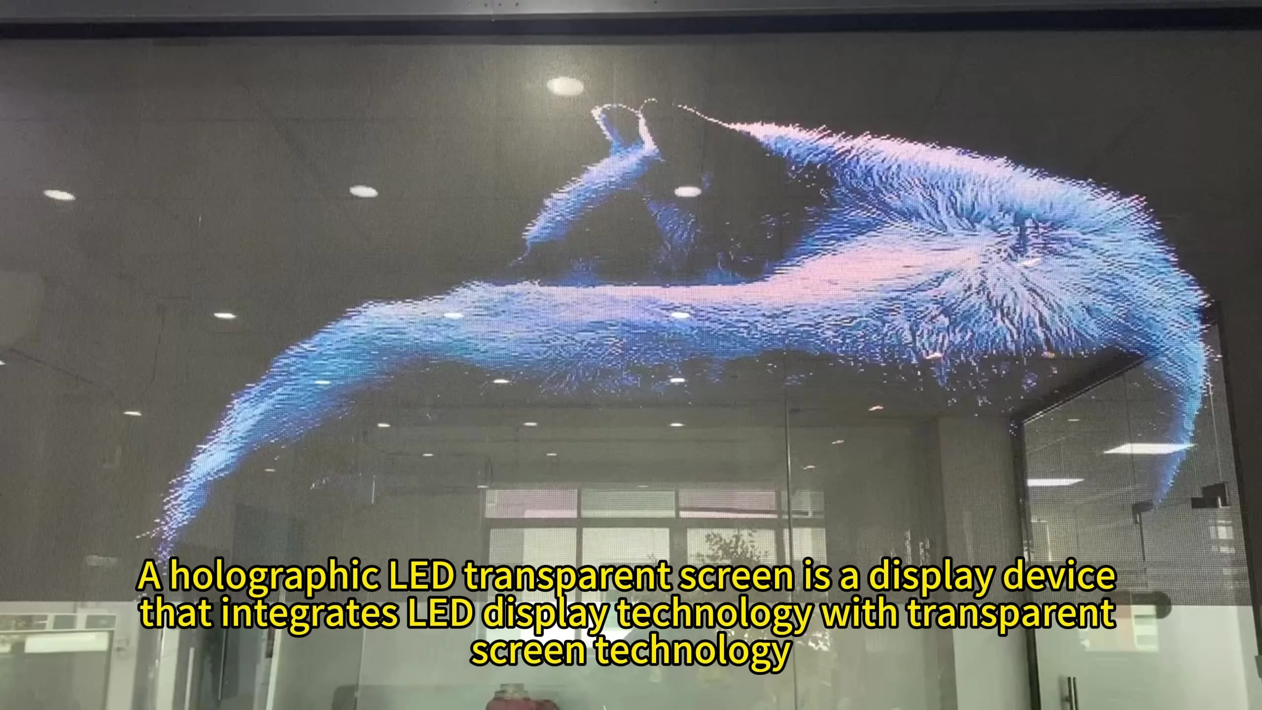P3.91 Indoor Hologram Led Display Advertising Price P6 3d Hologram Transparent Led Display For Glass Wall